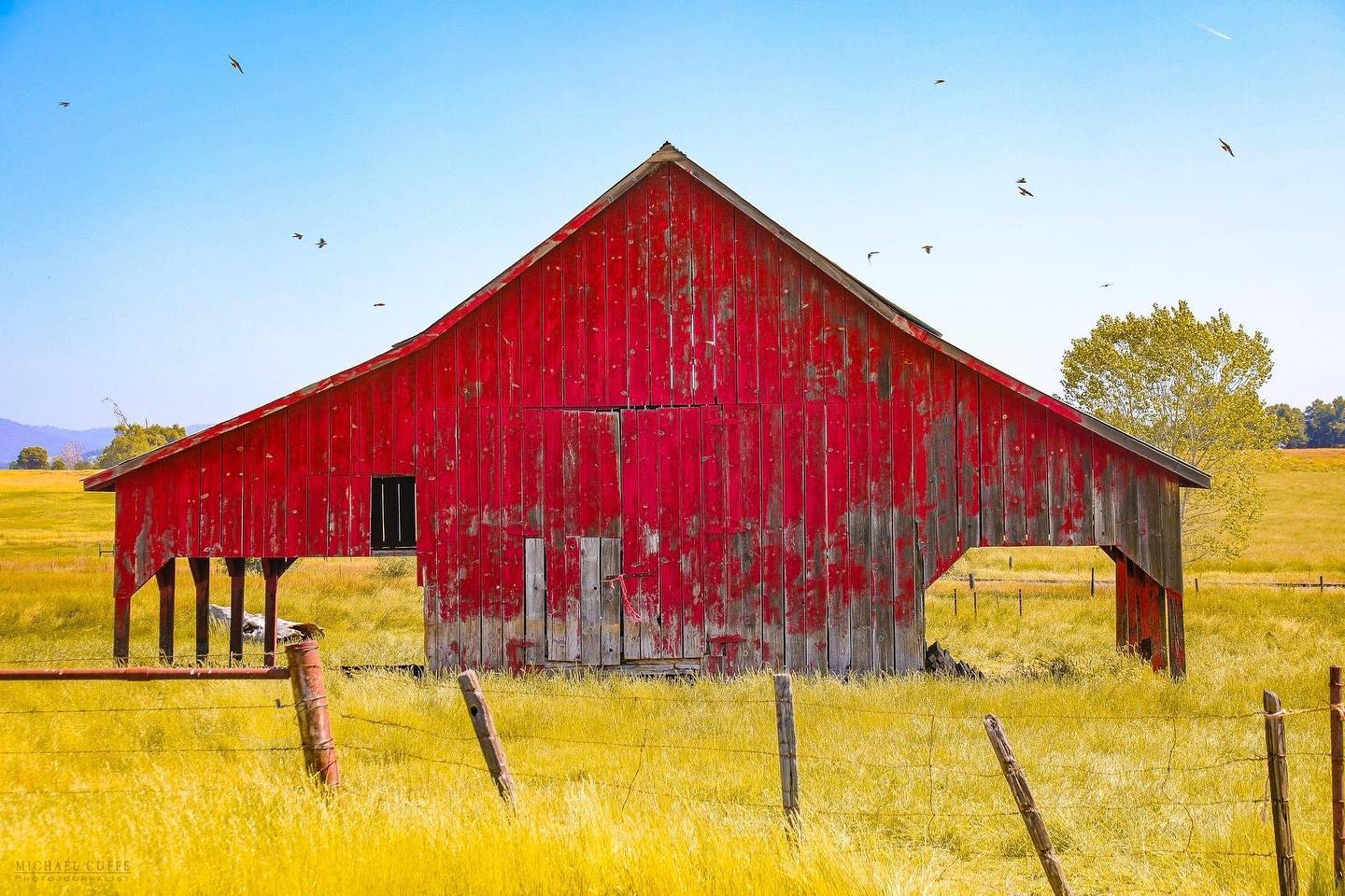 Red Barn