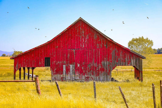 Red Barn