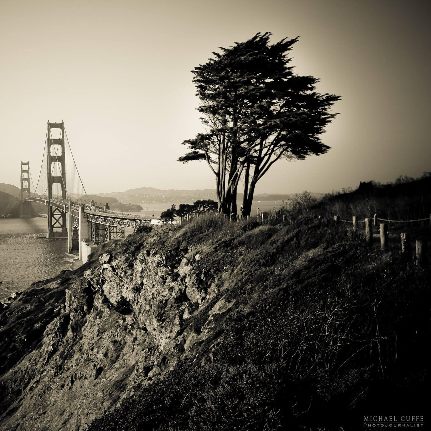 Golden Gate Solitude