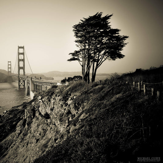 Golden Gate Solitude